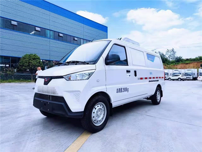五菱純電動(dòng)新能源冷藏車(chē)